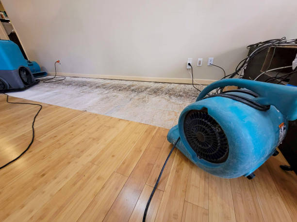 Professional Ceiling Water Damage Repair technician working in Bernalillo, NM